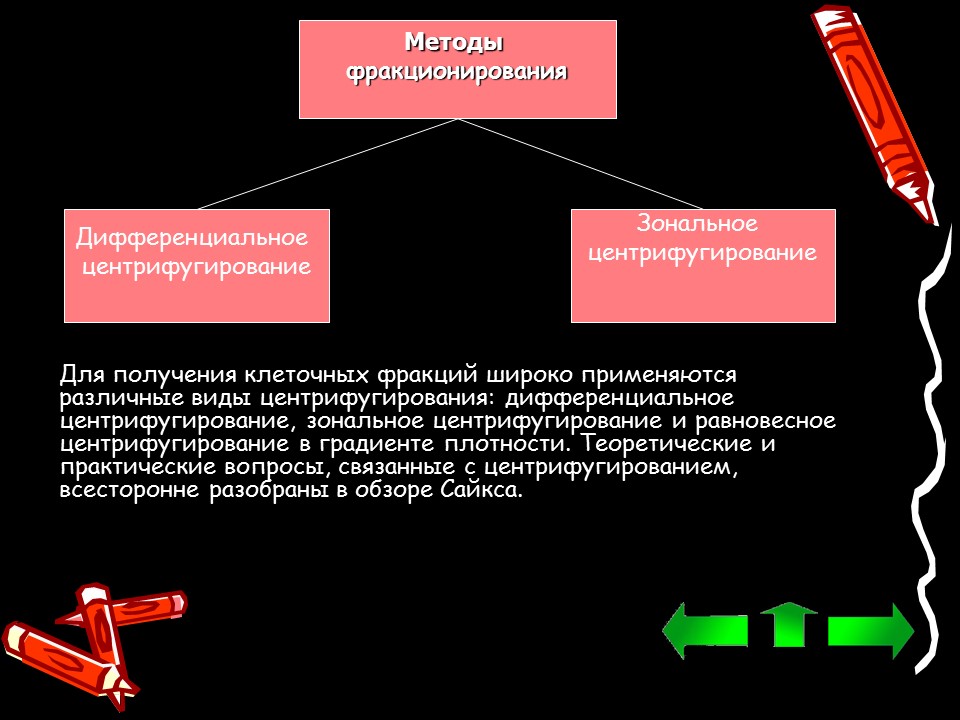 Методы исследования клетки