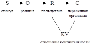 Meinrad Perrez "Lehrbuch Klinische Psychologie Psychotherapie"