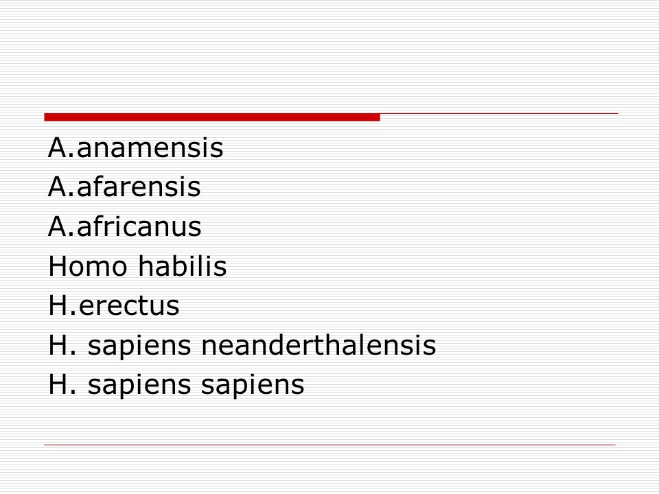 Происхождение и эволюция человека Этапы развития