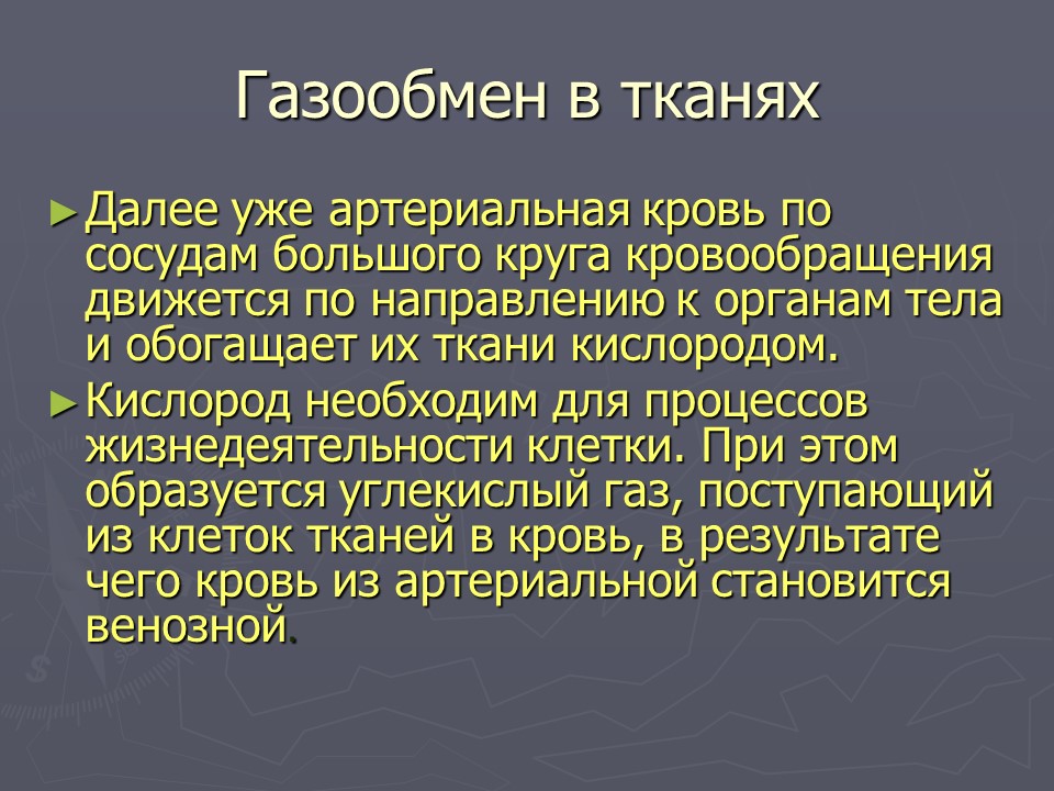 Органы дыхания 2