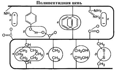 Полипропилен образуется в соответствии со схемой