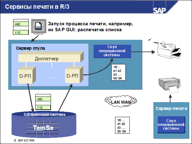 Sap50 ???????? ??????????