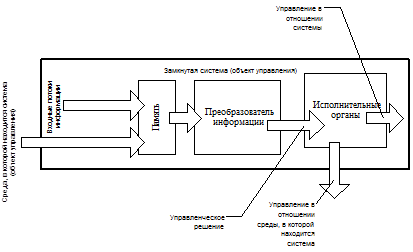 Интровертированность создание собственных схем объясняющих мир свойственна подростку