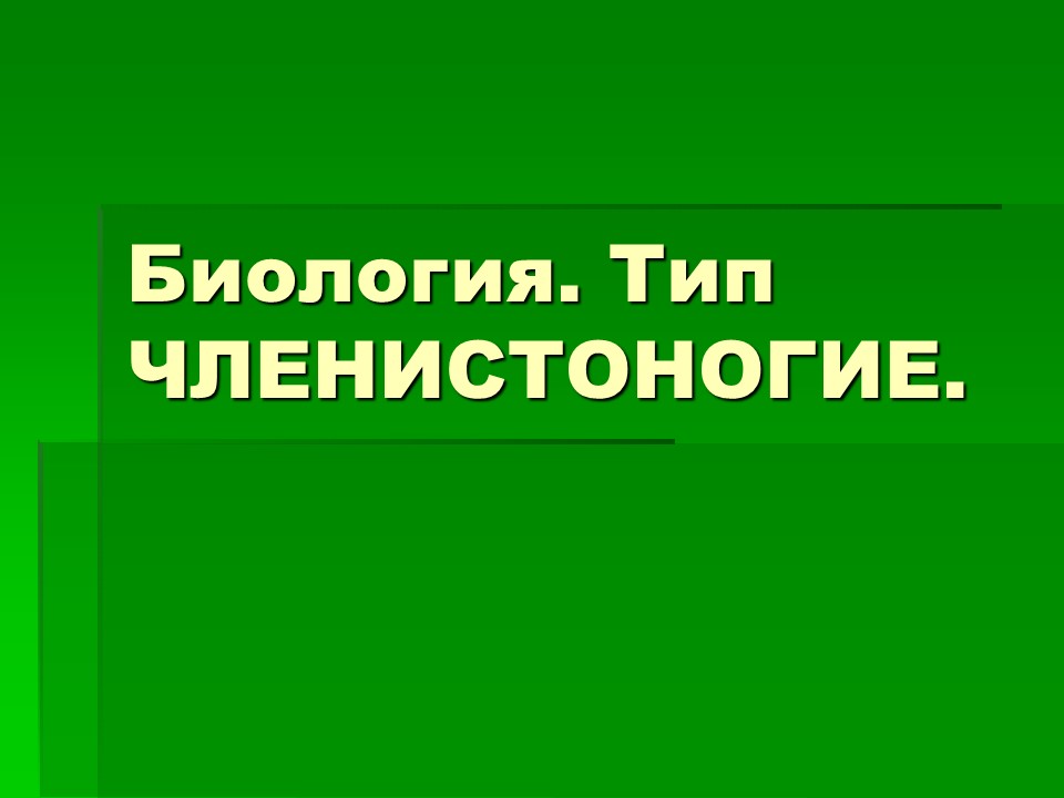 Тип членистоногие