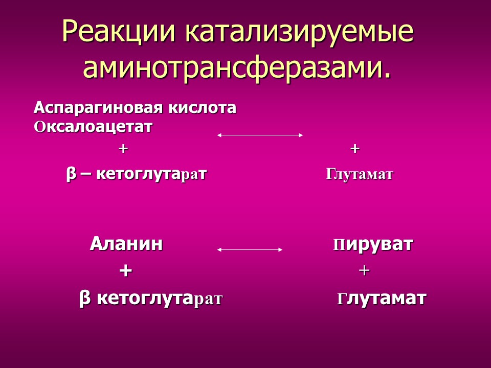 Изучение токсического влияния кадмия на активность аминотрансфераз у потомства белых крыс