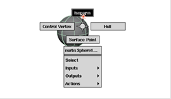 Understanding Maya