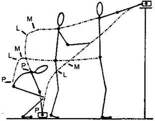 Meinrad Perrez "Lehrbuch Klinische Psychologie Psychotherapie"