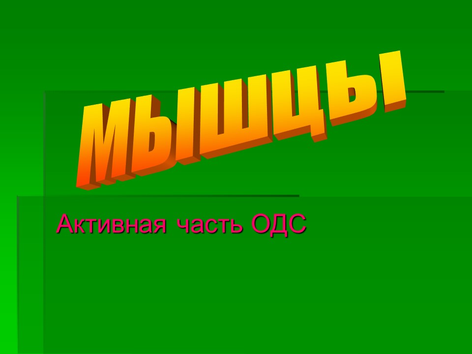 Мышцы как активная часть опорно-двигательной системы