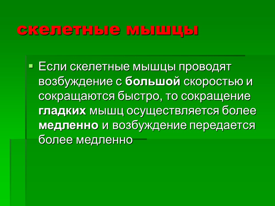 Мышцы как активная часть опорно-двигательной системы