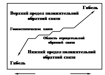 Естественная эволюция небольших по размеру озер идет по схеме