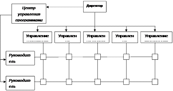 Матричная структура управления проектом