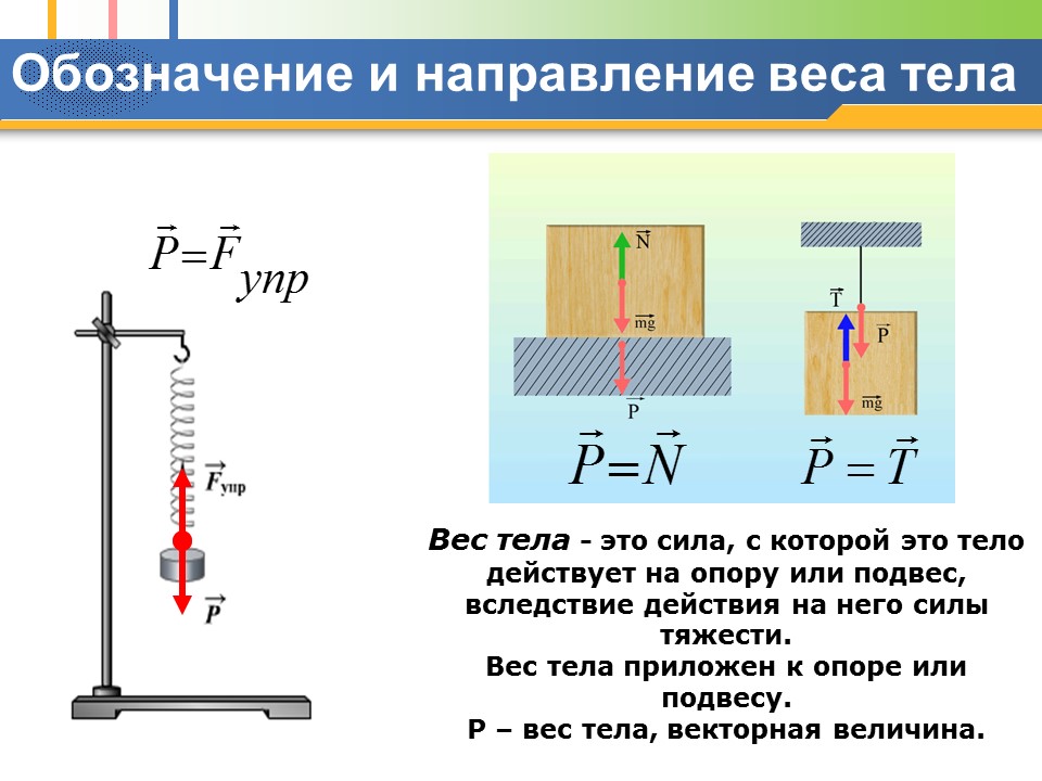 Сила тяжести Динамометр