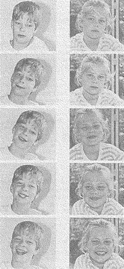 Meinrad Perrez "Lehrbuch Klinische Psychologie Psychotherapie"