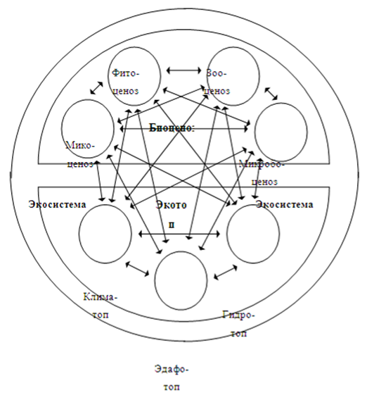 Схема строения биосферы