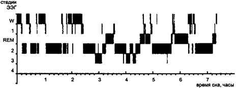 Meinrad Perrez "Lehrbuch Klinische Psychologie Psychotherapie"