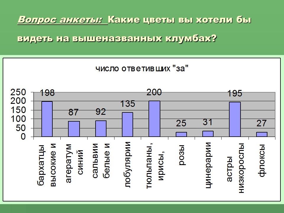 Социальный проект Цветочный калейдоскоп