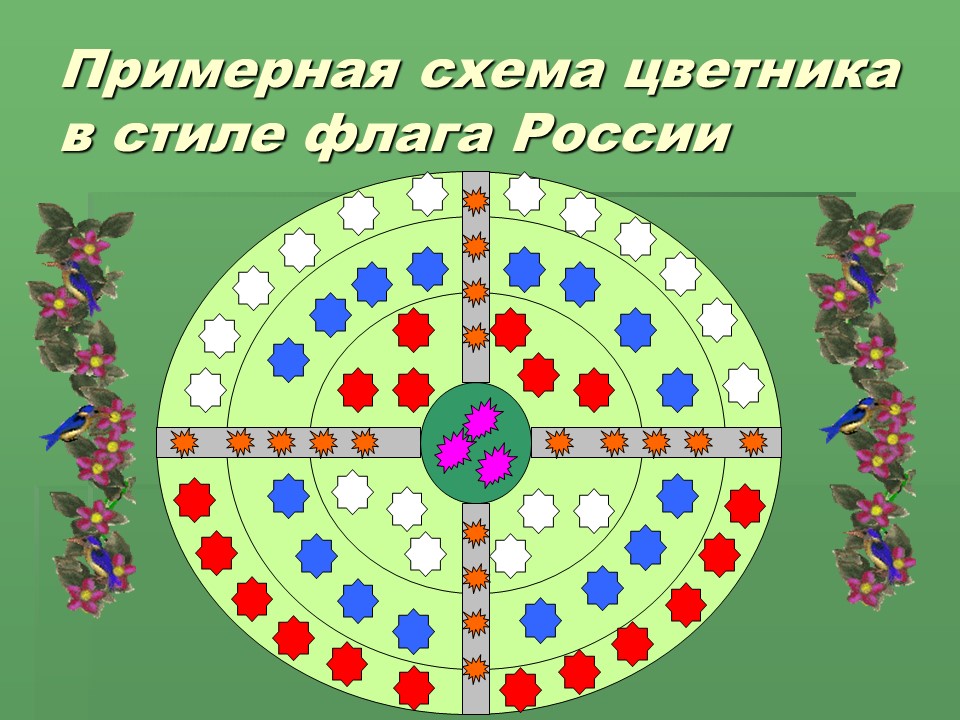 Социальный проект Цветочный калейдоскоп