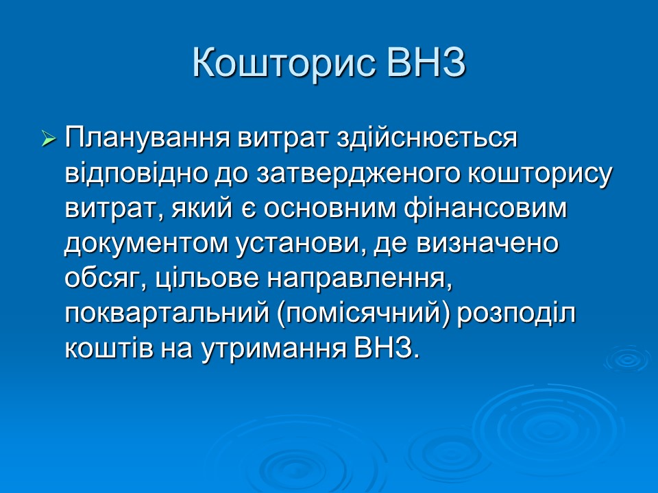 Фінансово-економічне життя вищих навчальних закладів