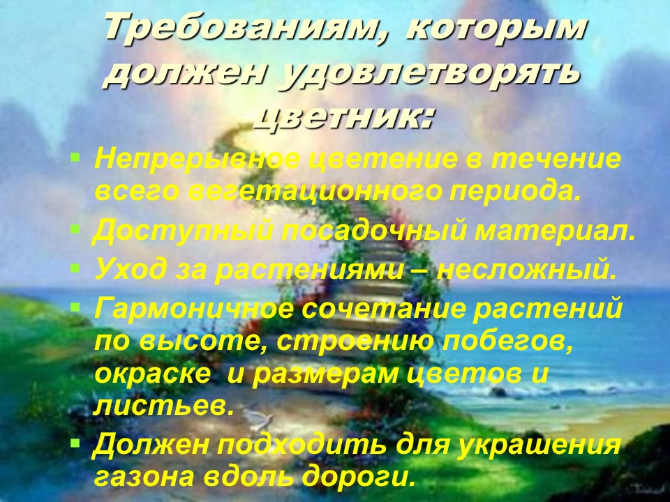 Социальный проект Цветочный калейдоскоп