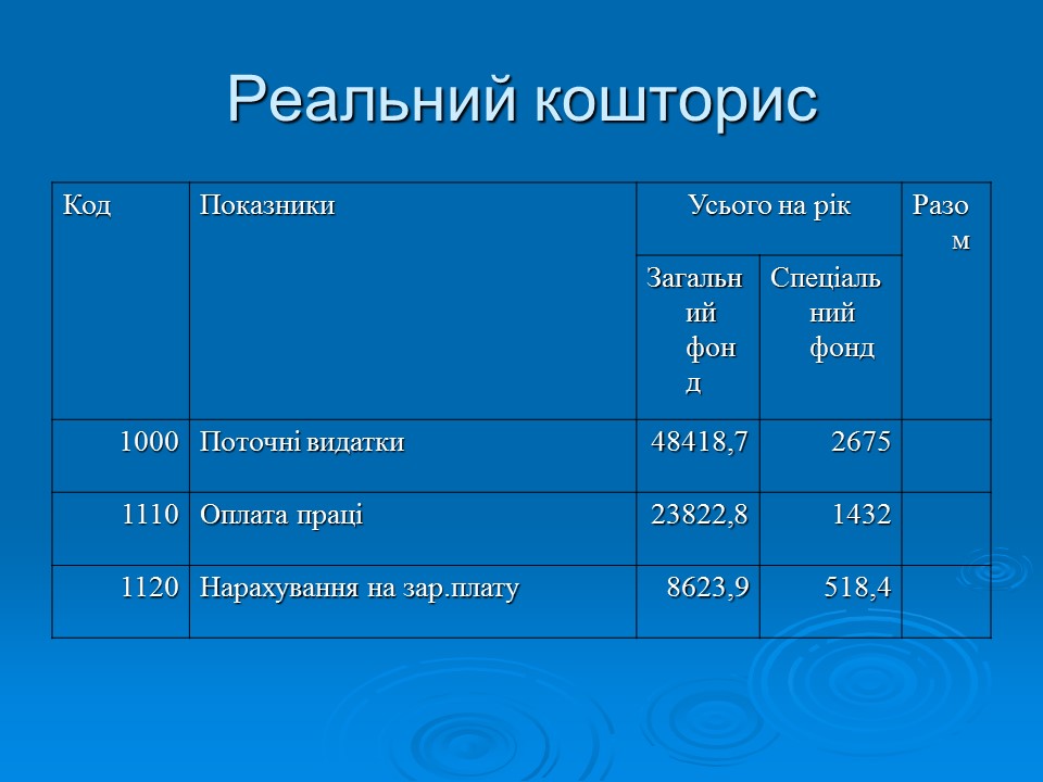 Фінансово-економічне життя вищих навчальних закладів