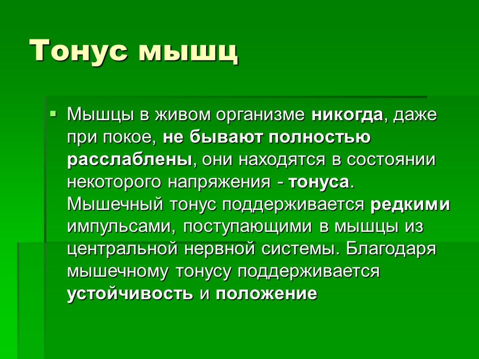 Мышцы как активная часть опорно-двигательной системы