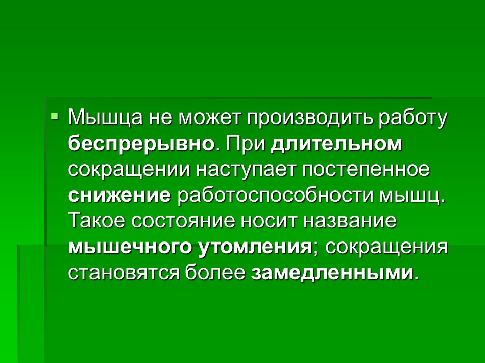 Мышцы как активная часть опорно-двигательной системы