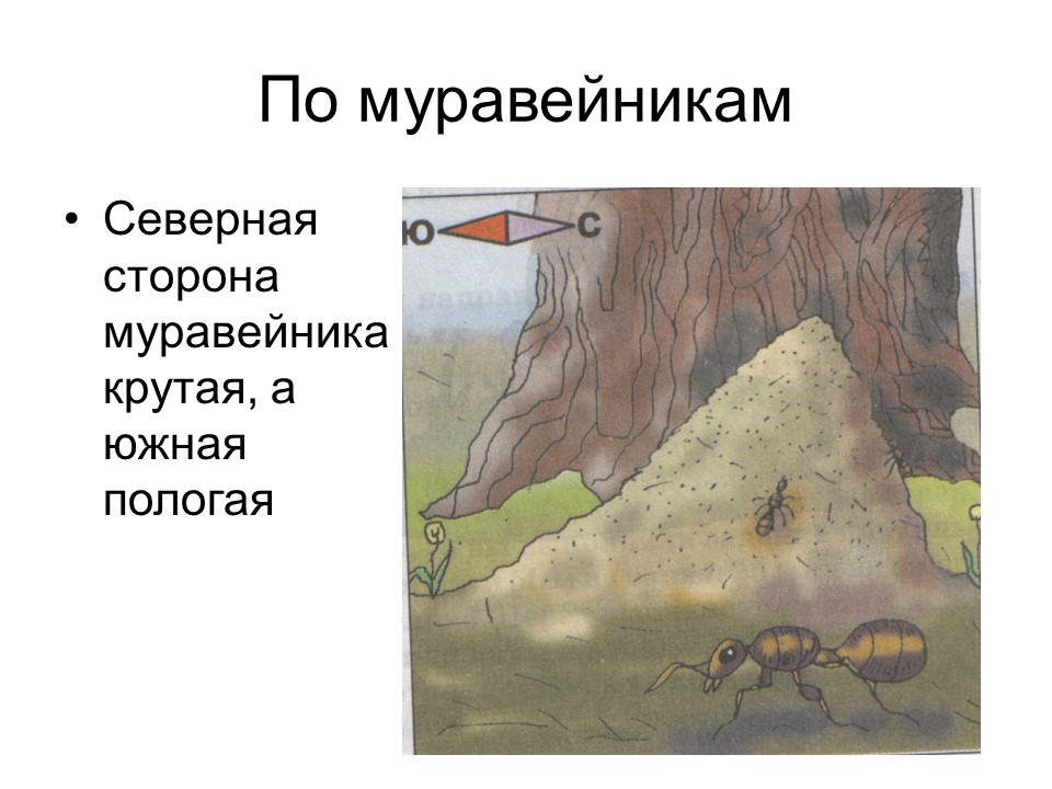 Ориентирование на местности 2 Способы определения