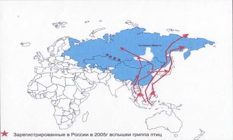 Карта миграции журавлей