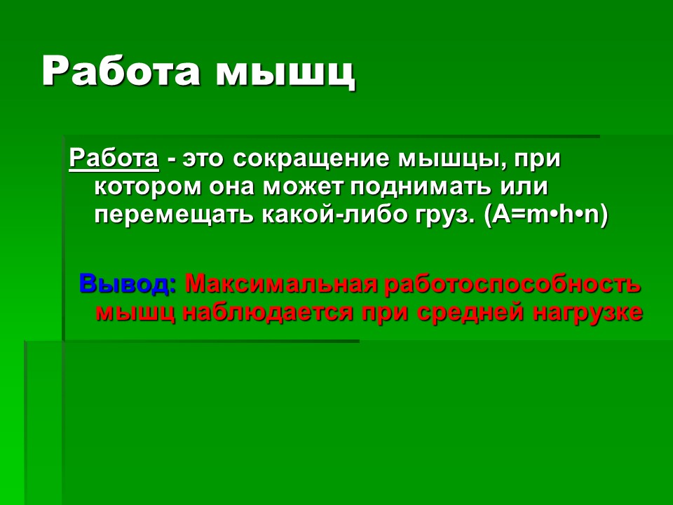 Мышцы как активная часть опорно-двигательной системы