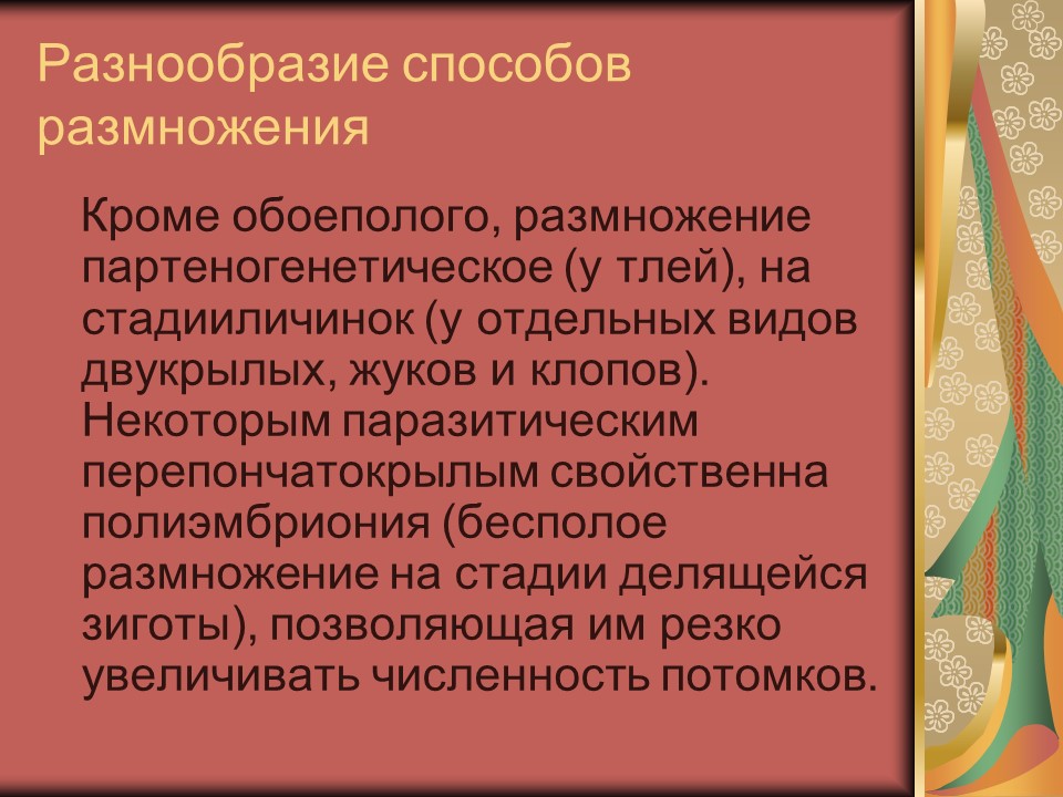 Тип членистоногие класс насекомые