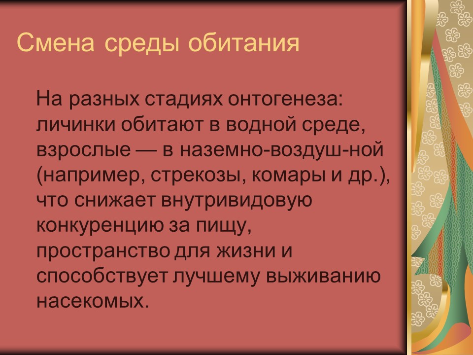 Тип членистоногие класс насекомые