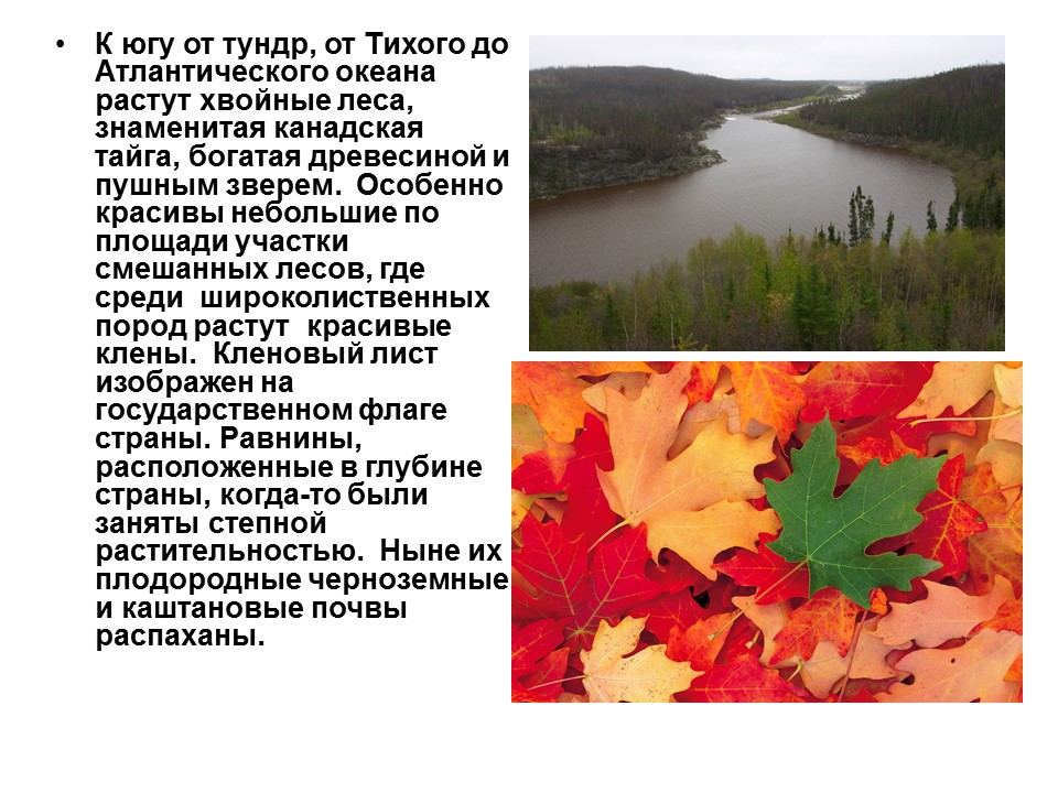 Канада особенности природных условий население культура