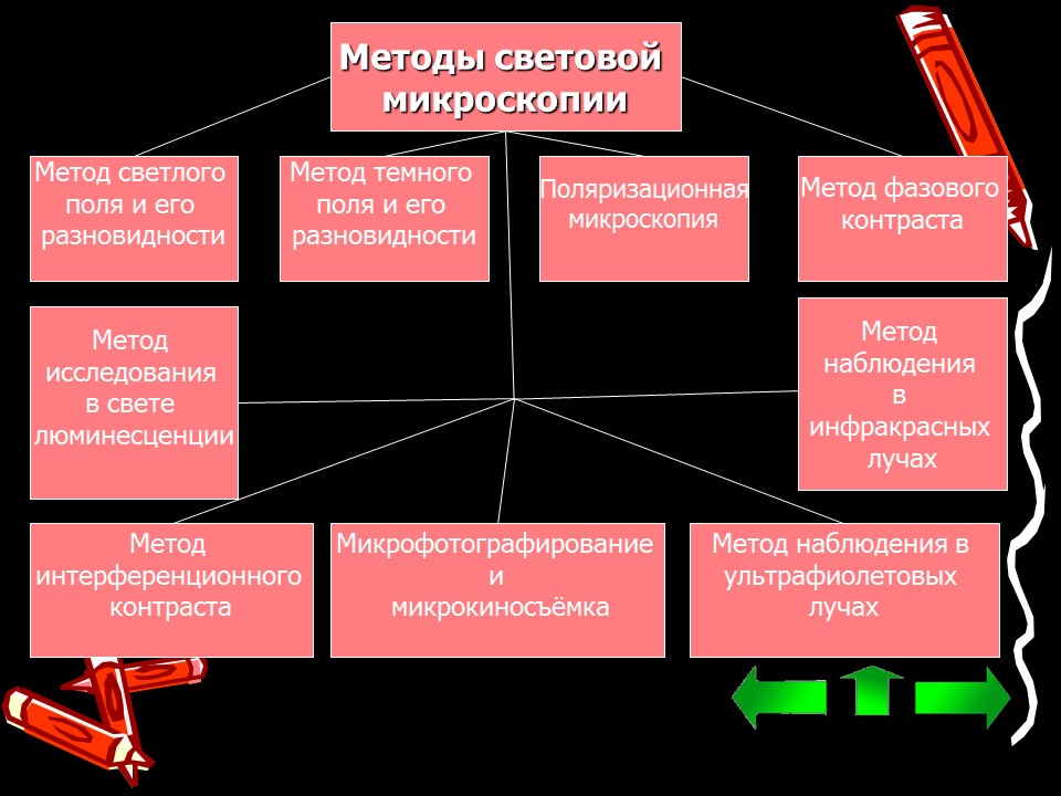 Методы исследования клетки