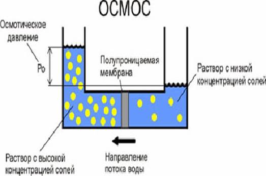 Схема минерализации органических веществ в воде