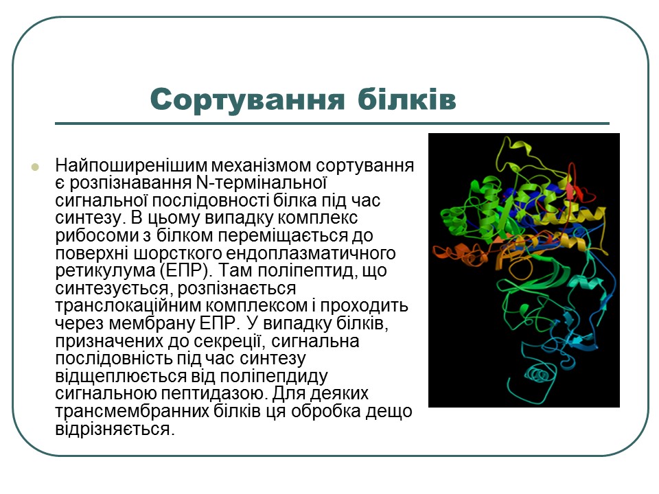 Що таке білки