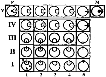 Erik Erikson "Childhood and Society"