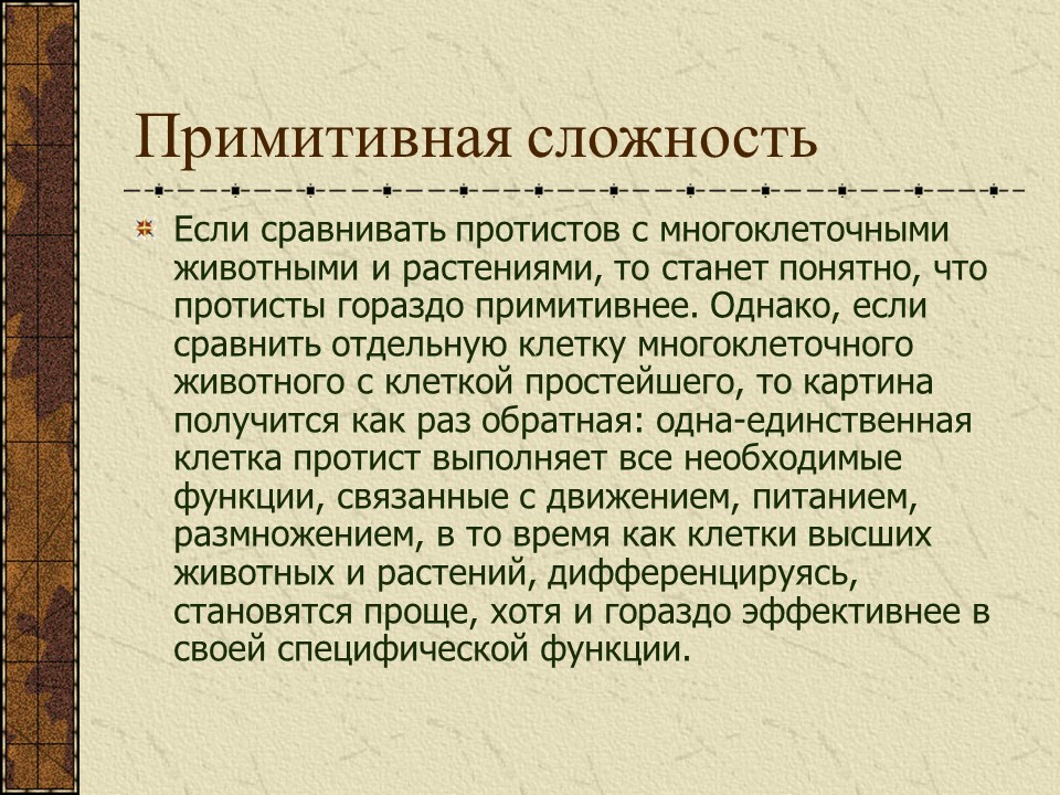 Простейшие жгутиковые