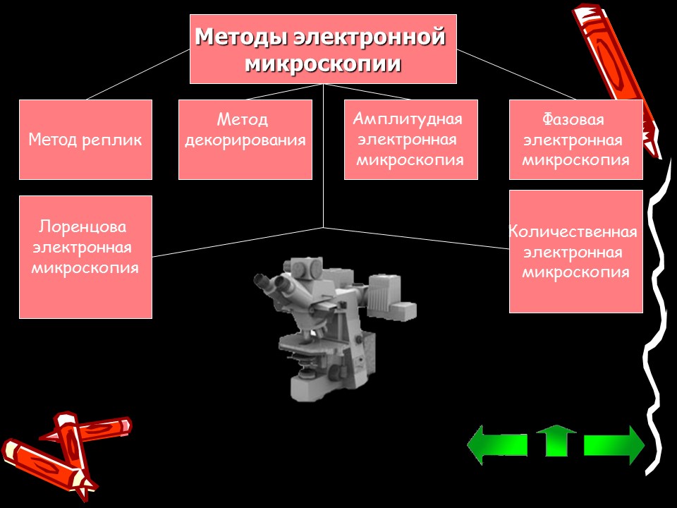 Методы исследования клетки