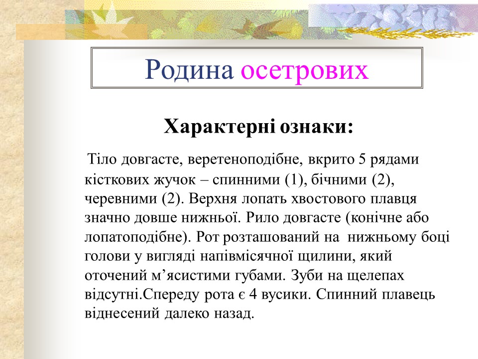 Родини промислових риб