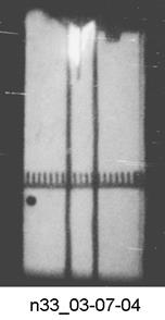 M. P. Galanin, A. P. Lototskii, A. S. Rodin