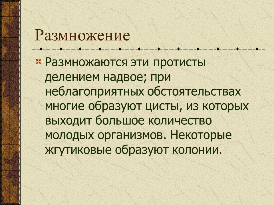 Простейшие жгутиковые