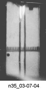 M. P. Galanin, A. P. Lototskii, A. S. Rodin