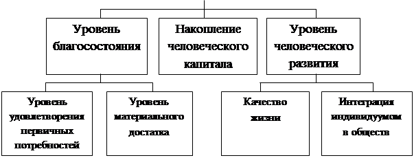 Какой уровень организации жизни изображен на рисунке