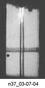 M. P. Galanin, A. P. Lototskii, A. S. Rodin